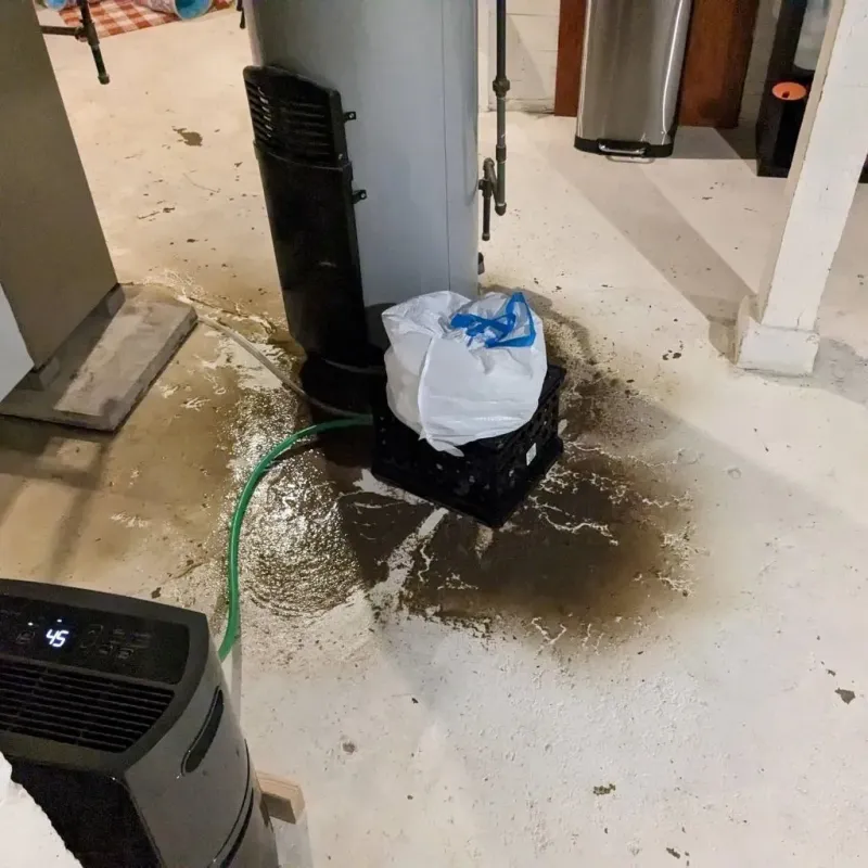 Sewage Backup Cleanup Service in Baca County, CO